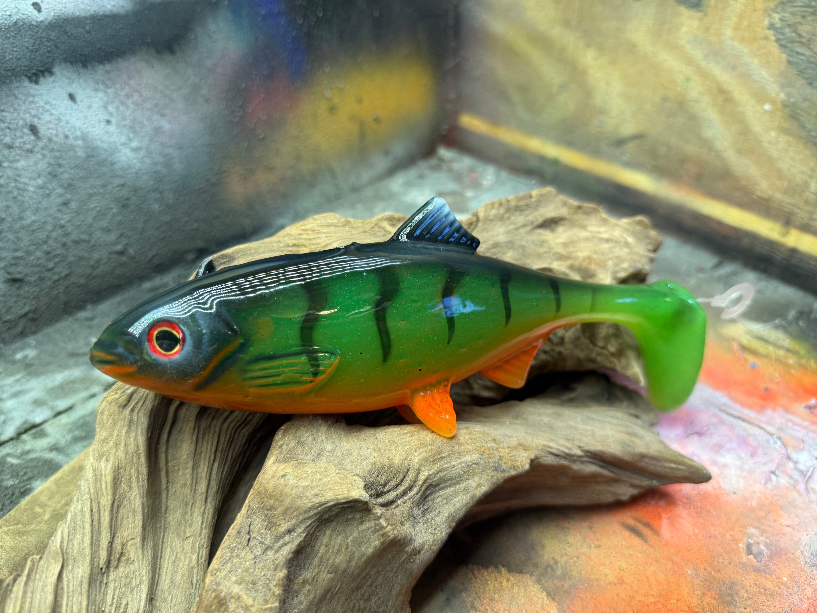 Roach 21cm