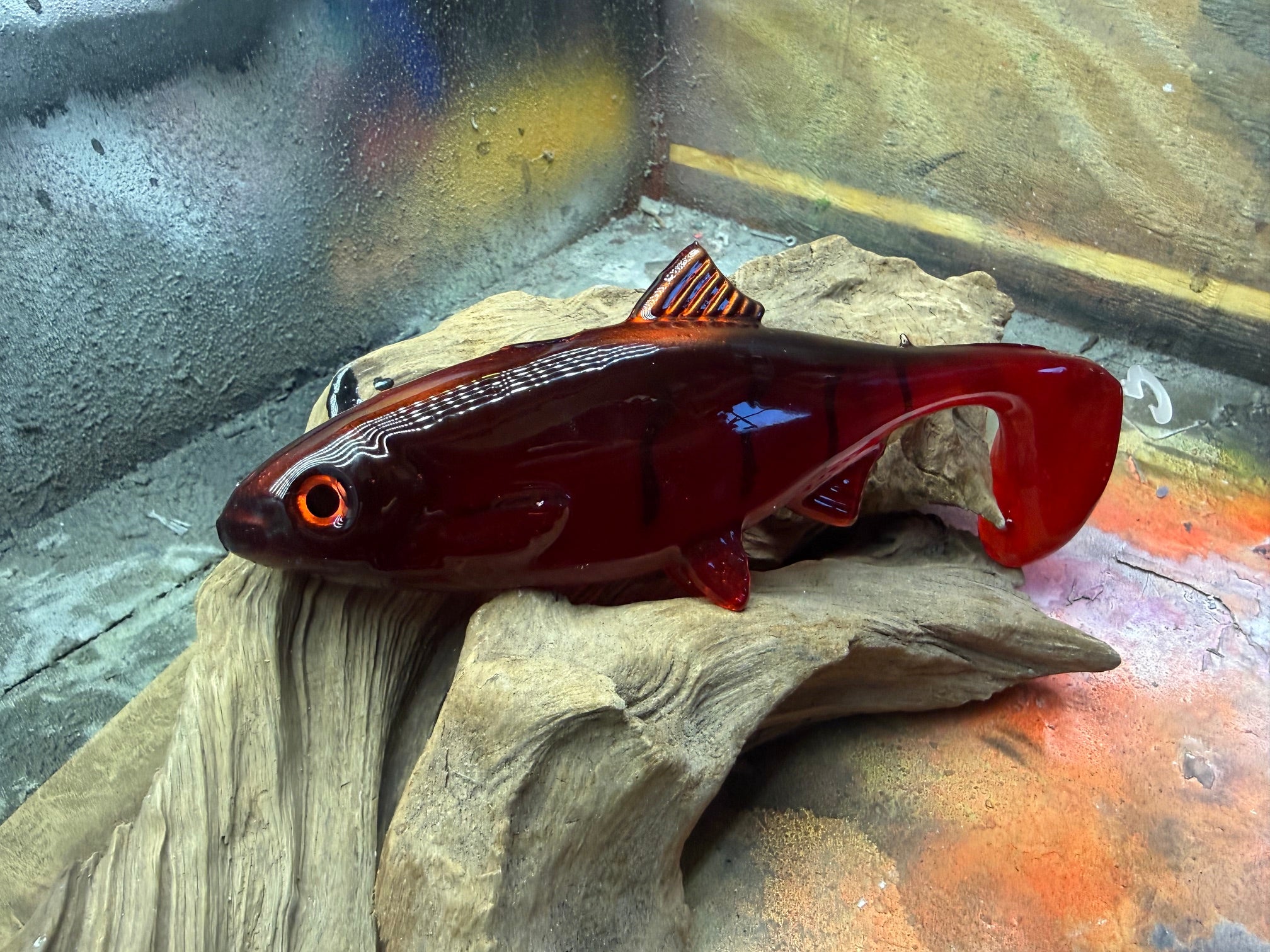 Roach 21cm