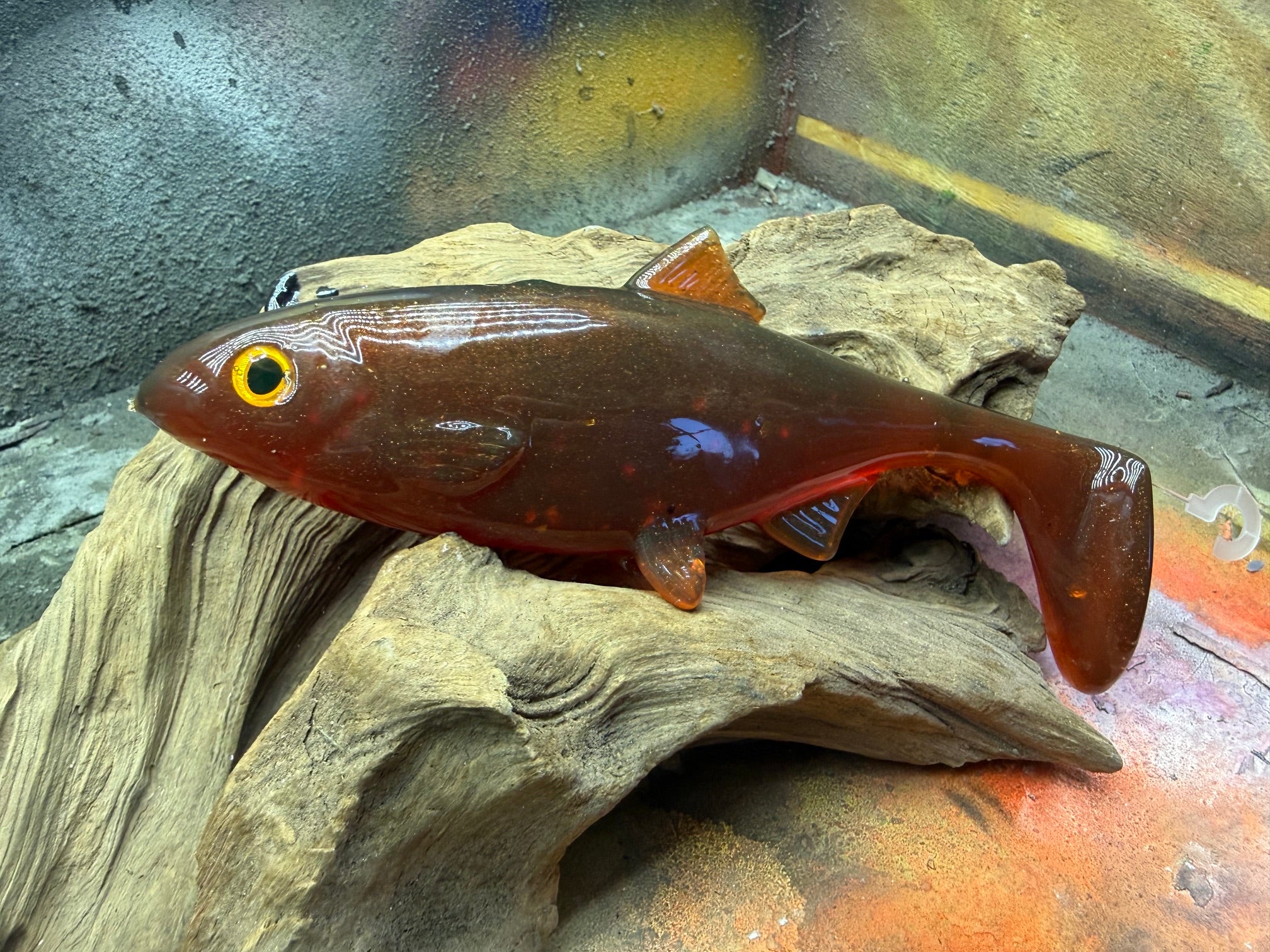 Roach 21cm